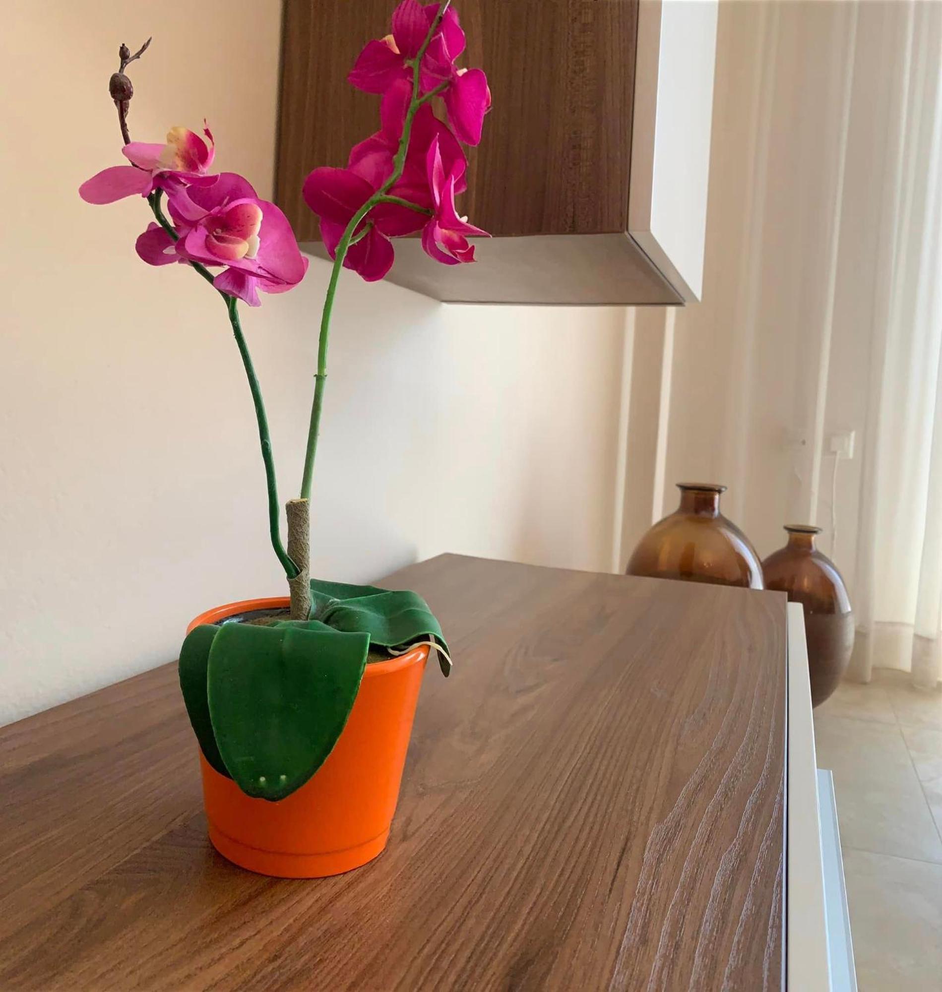Αpartments Anna Deluxe Daire Kavala Dış mekan fotoğraf